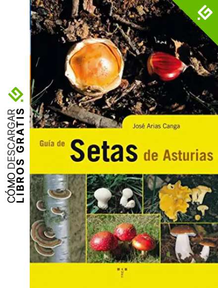 Gu&iacute;a de setas de Asturias (Asturias Libro a Libro)