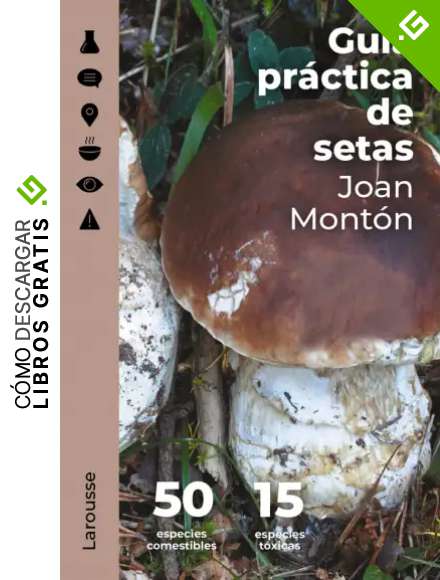 Gu&iacute;a pr&aacute;ctica de setas