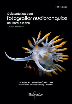 Gu&iacute;a pr&aacute;ctica para fotografiar nudibranquios del litoral espa&ntilde;ol: 247 especies del Mediterr&aacute;neo, costa cant&aacute;brica, Atl&aacute;ntico norte y Canarias: 1 (FOTOSUB)
