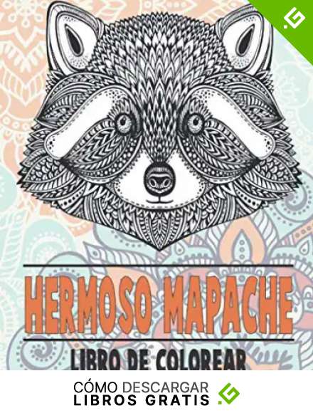 Hermoso mapache - Libro de colorear