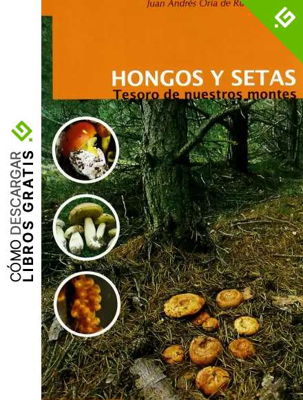 Hongos Y Setas: Tesoro de nuestros montes (GUIAS)