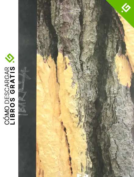 Ibarrola. El bosque de Oma. Omako basoa (Zabalduz)