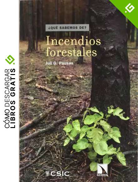 Incendios forestales: 32 (&iquest;Qu&eacute; sabemos de?)