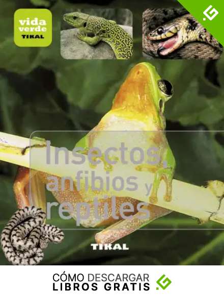 Insectos, Anfibios y Reptiles (Vida verde)