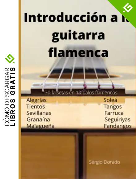 Introducci&oacute;n a la guitarra flamenca