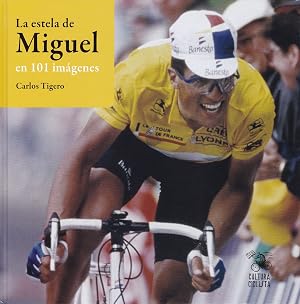 La Estela de Miguel en 101 im&aacute;genes