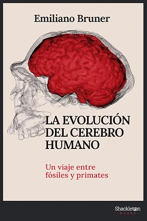 La evoluci&oacute;n del cerebro humano: Un viaje entre f&oacute;siles y primates (SHACKLETON DISCOVERY)