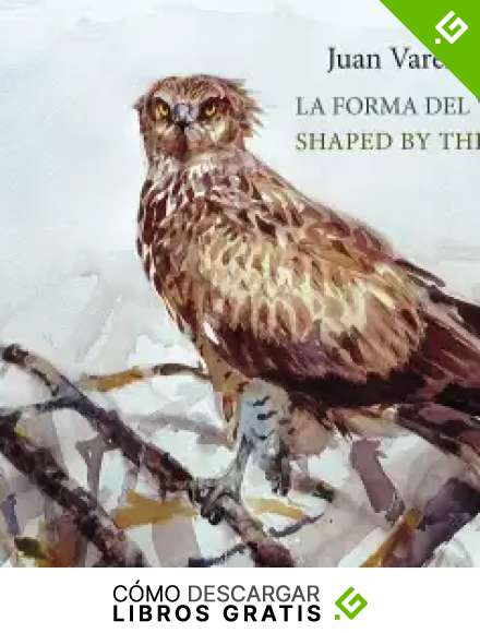 La forma del viento / Shaped by the wind