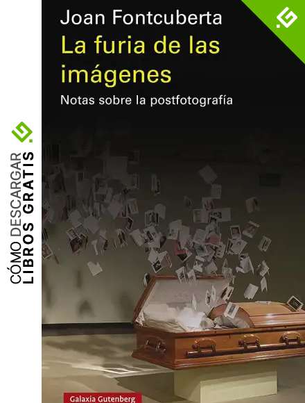 La furia de las im&aacute;genes- 2020: Notas sobre la postfotograf&iacute;a (Ensayo)