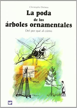 La poda de los &aacute;rboles ornamentales