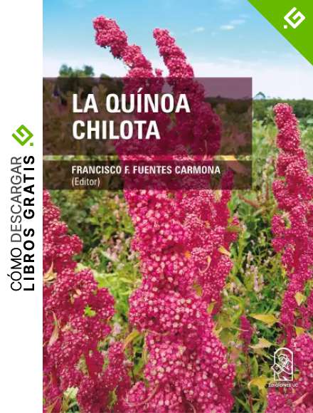 La qu&iacute;noa chilota
