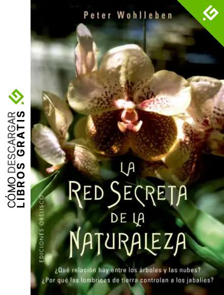 La red secreta de la naturaleza (ESPIRITUALIDAD Y VIDA INTERIOR)