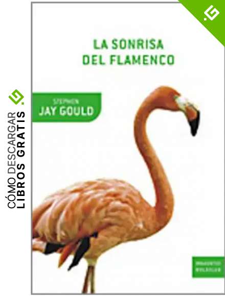 La sonrisa del flamenco (Drakontos Bolsillo)