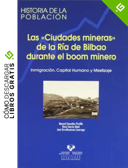 Las "ciudades mineras" de la R&iacute;a de Bilbao durante el boom minero. Inmigraci&oacute;n, capital humano y mestizaje: 5 (Historia de la Poblaci&oacute;n)