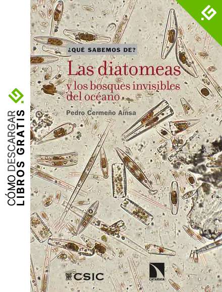 Las diatomeas y los bosques invisibles del oc&eacute;ano: 111 (Que sabemos de)