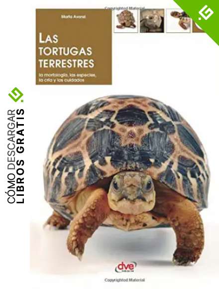Las tortugas terrestres