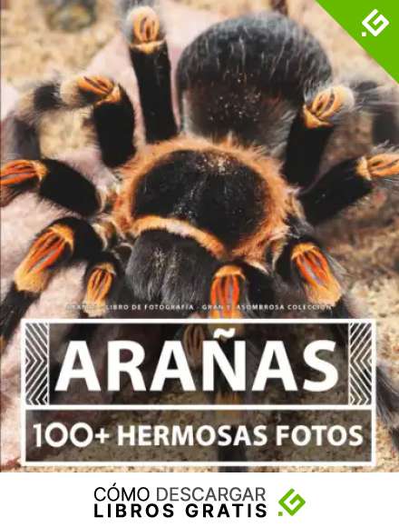 Libro De Fotograf&iacute;a - Ara&ntilde;as - Gran y Asombrosa Colecci&oacute;n: 100 Hermosas Fotos En Este Fant&aacute;stico Libro De Fotos - Para Ni&ntilde;os y Adultos
