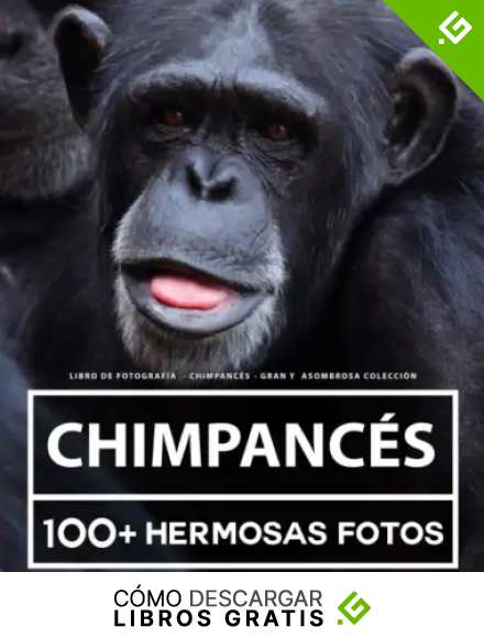 Libro De Fotograf&iacute;a - Chimpanc&eacute;s - Gran y Asombrosa Colecci&oacute;n: 100 Hermosas Fotos En Este Fant&aacute;stico Libro De Fotos De Chimpanc&eacute;s - Para Ni&ntilde;os y Adultos