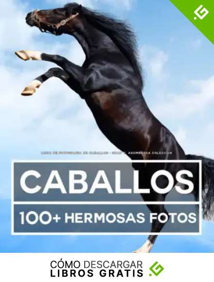 Libro De Fotograf&iacute;a De Caballos &ndash; Gran y Asombrosa Colecci&oacute;n: 100 Hermosas Fotos En Este Fant&aacute;stico Libro De Caballos - Libro De Fotos De Animales Para Ni&ntilde;os y Adultos