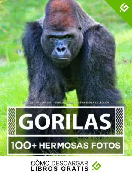 Libro De Fotograf&iacute;a - Gorila - Gran y Asombrosa Colecci&oacute;n: 100 Hermosas Fotos En Este Fant&aacute;stico Libro De Fotos De Gorila - Para Ni&ntilde;os y Adultos