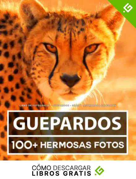 Libro De Fotograf&iacute;a - Guepardos - Gran y Asombrosa Colecci&oacute;n: 100 Hermosas Fotos En Este Fant&aacute;stico Libro De Fotos De Guepardos - Para Ni&ntilde;os y Adultos
