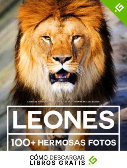 Libro De Fotograf&iacute;a - Leones - Gran y Asombrosa Colecci&oacute;n: 100 Hermosas Fotos En Este Fant&aacute;stico Libro De Fotos De Leones - Para Ni&ntilde;os y Adultos