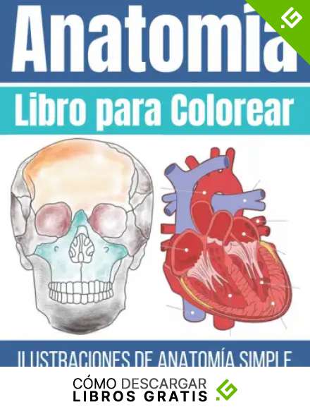 Libro para Colorear Anatom&iacute;a: Ilustraciones Simples para Colorear