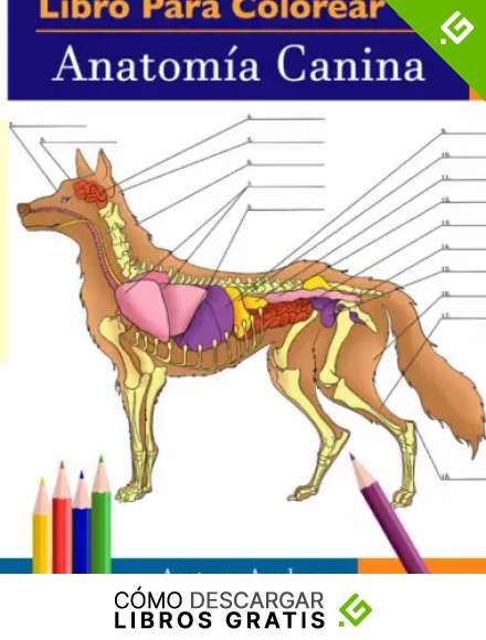 Libro para colorear de Anatom&iacute;a Canina: Libro de Colores de Autoevaluaci&oacute;n Muy Detallado de Anatom&iacute;a Canina | El Regalo Perfecto Para Estudiantes de Veterinaria, Amantes de los Perros y Adultos