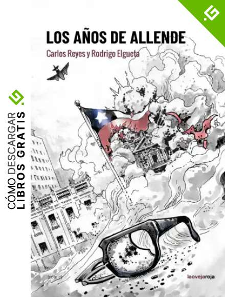 Los a&ntilde;os de Allende (NOVELA GRAFICA)