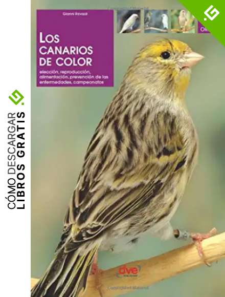 Los canarios de color