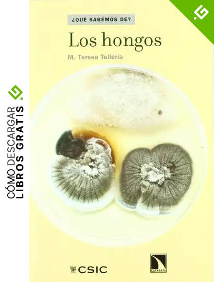 Los hongos (&iquest;Qu&eacute; sabemos de...?)