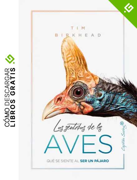 Los sentidos de la aves: Qu&eacute; se siente al ser un p&aacute;jaro (ENSAYO)