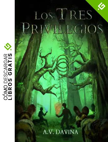 Los Tres Privilegios: Novela de Fantas&iacute;a Juvenil cargada de Magia, Misterio y Aventuras
