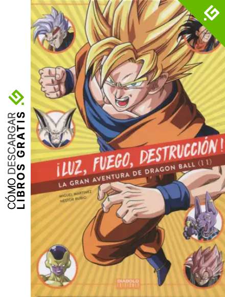 Luz, fuego, destrucci&oacute;n. La gran aventura de Dragon Ball 2