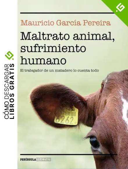 Maltrato animal, sufrimiento humano: El trabajador de un matadero lo cuenta todo (REALIDAD)