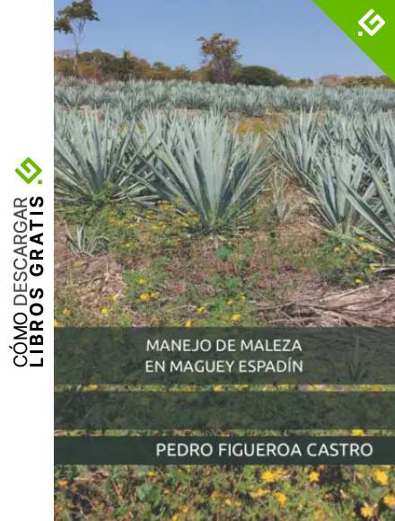 MANEJO DE MALEZA EN MAGUEY ESPAD&Iacute;N