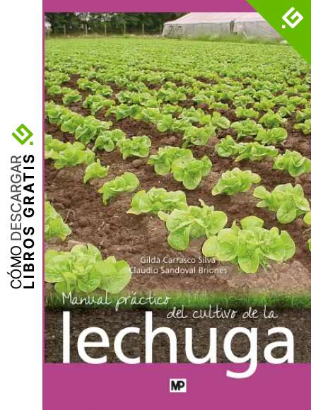 Manual pr&aacute;ctico del cultivo de la lechuga