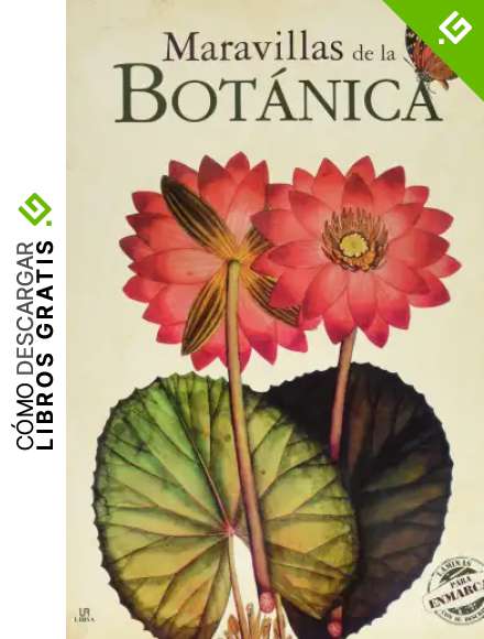 Maravillas De La Bot&aacute;nica (L&aacute;minas Para Enmarcar): 2 (Posters Art)