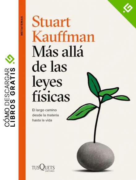 M&aacute;s all&aacute; de las leyes f&iacute;sicas: El largo camino desde la materia hasta la vida (Metatemas)