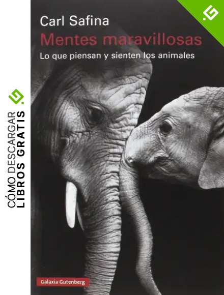 Mentes maravillosas: Lo que piensan y sienten los animales (R&uacute;stica)
