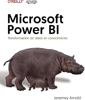 Microsoft Power BI. Transformaci&oacute;n de datos en conocimiento (T&Iacute;TULOS ESPECIALES)