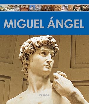 Miguel &Aacute;ngel (Enciclopedia Del Arte)