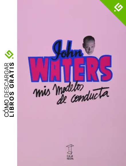 Mis modelos de conducta