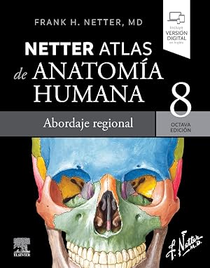 Netter. Atlas de anatom&iacute;a humana. Abordaje regional