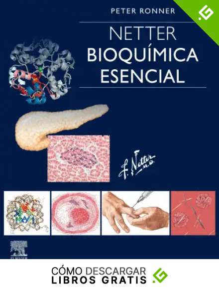 Netter. Bioqu&iacute;mica esencial