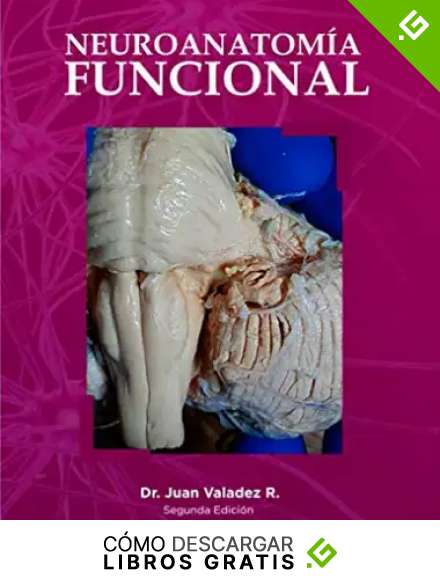 Neuroanatom&iacute;a Funcional