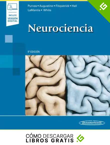 Neurociencia (incluye version digital) (incluye versi&oacute;n digital)
