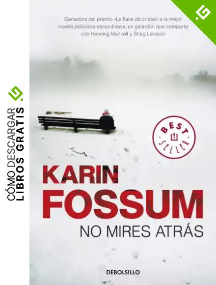 No mires atr&aacute;s (Inspector Sejer 2)