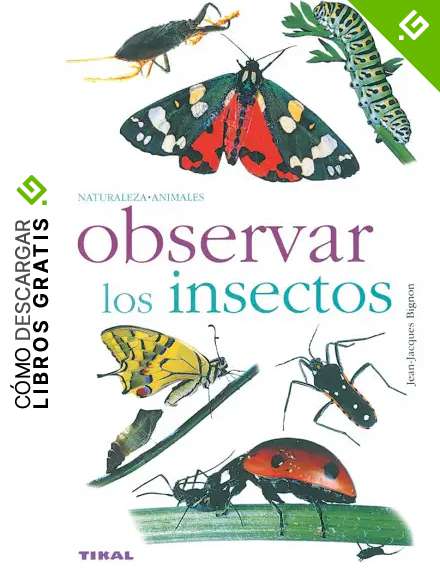 Observar Los Insectos(Naturaleza-Animales)