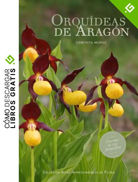 Orqu&iacute;deas de Arag&oacute;n
